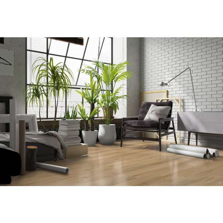 Hoomline Ambassador washington plak pvc