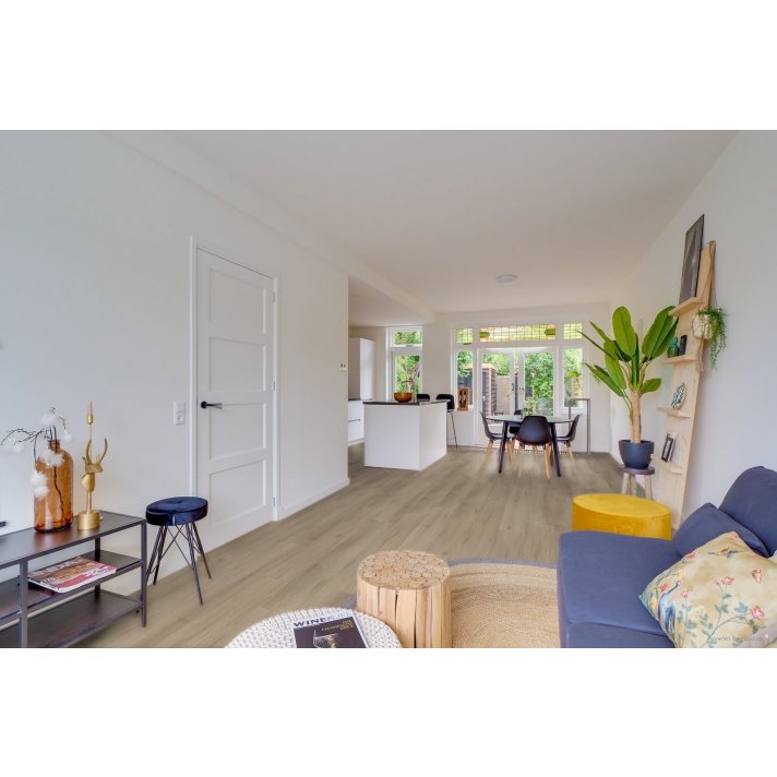 Hoomline Ambassador missouri plak pvc