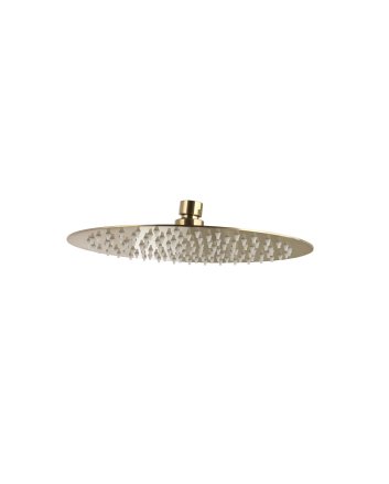 Sani DeLuxe Hoofddouchekop ultra thin Goud Geborsteld rond 30 cm