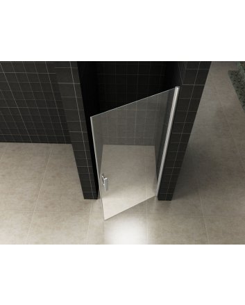 Eco nisdeur met profiel 1000x1950 6mm