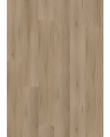 Hoomline Ambassador montana plak pvc