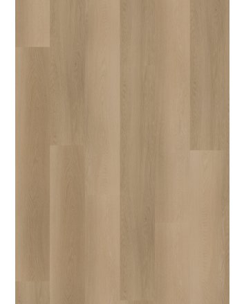 Hoomline Ambassador vermont plak pvc