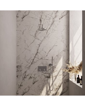 BRAUER Brushed Carving thermostatische inbouw regendouche met drukknoppen SET 51 met 20 cm douchekop en gebogen muurarm en staaf handdouche en doucheslang en wandaansluitbocht RVS geborsteld PVD