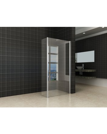 Eco-Combi Nano Inloopdouche + zijwand 900x300 8mm
