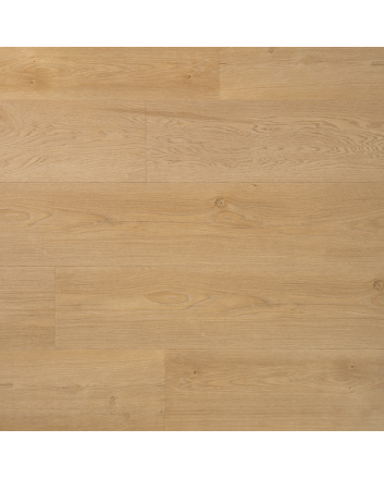 Douwes Dekker Ambitieus riante plak pvc - boterkoek
