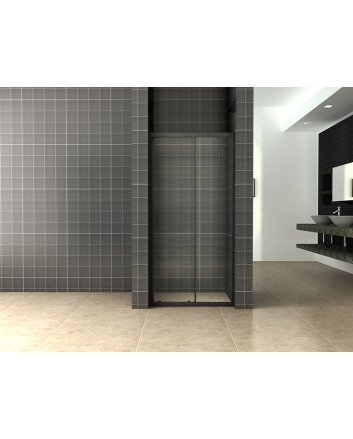 Skyline nis schuifdeur 1200 x 2000 x 8 mm nano helder glas/mat zwart