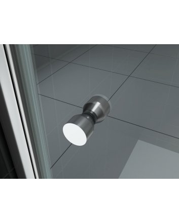 nisdeur met profiel 600x2000 8mm NANO glas