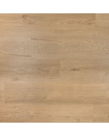 Douwes Dekker Ambitieus riante plak pvc - gemberkoek