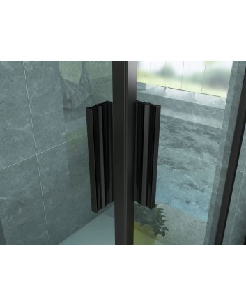 Eco Elegance Douche Hoekinstap Mat Zwart 80x80x195cm