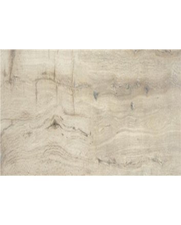 Alaplana Oakland houtlook tegel 15x90 Beige