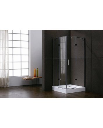 Sani DeLuxe Douchecabine vierkant hoekinstap 100