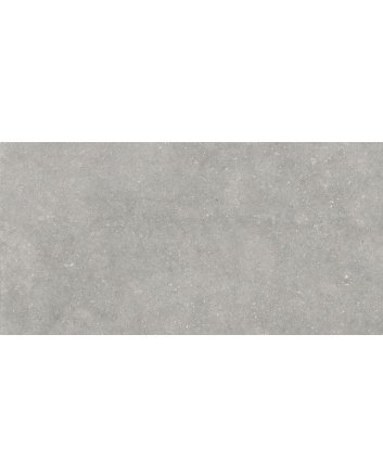 Ecoceramic Arenisca vloertegel mat 60x120 marengo