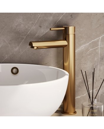 BRAUER Stripe verhoogde opbouw wastafelmengkraan model A goud geborsteld PVD