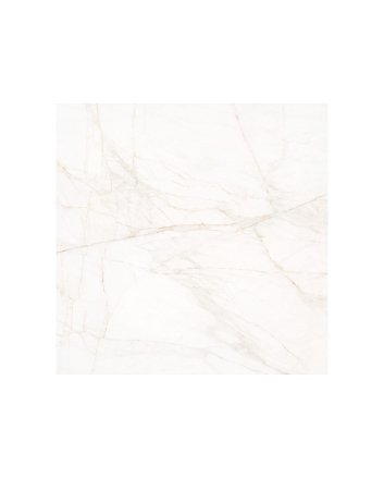 Roca Marble dolomita hoogglans vloertegel 120x120 blanco