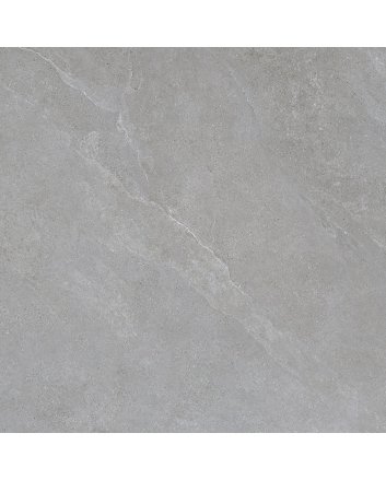 Halcon Infinity vloertegel mat 100x100 grey