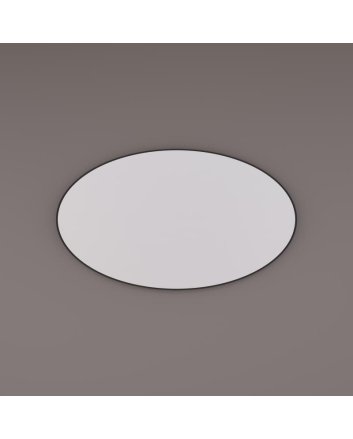 Hipp Design ovale spiegel 120x60cm op mat zwart metalen frame