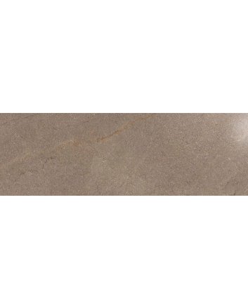 Emigres Terra wandtegel hoogglans 20x60 marron