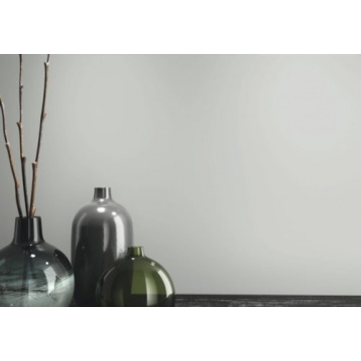 Baldocer Silver vloertegel mat 120x260 Silver