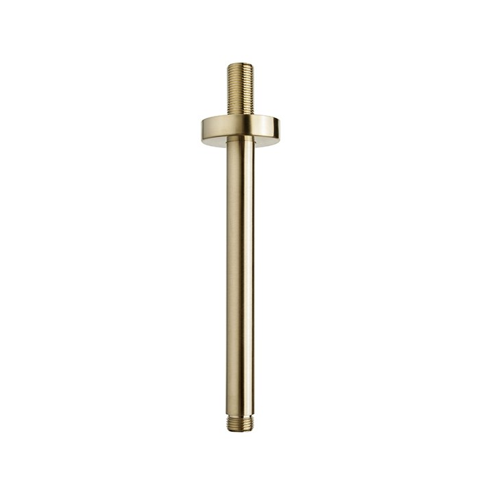 Caral douchearm met plafondbevestiging 20 cm geborsteld messing