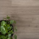 Beeld