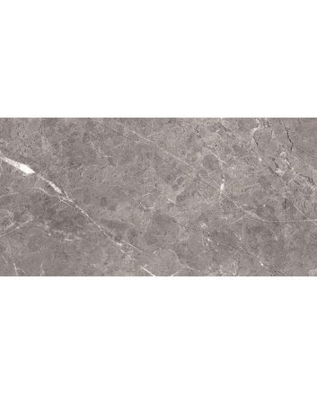 Ecoceramic Bolonia hoogglans vloertegel 60x120 marengo